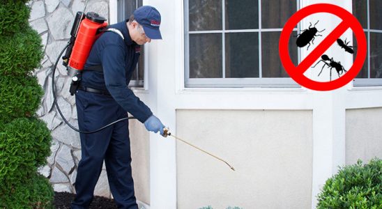 Bağcılar Karınca İlaçlama böcek ilaçlama ve haşere kontrolü — ilaclama-tr.com